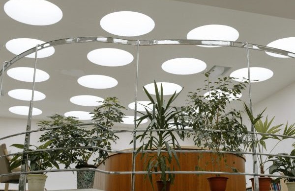 Nedidelė investicija, reikšmingai keičianti darbuotojų savijautą: kokia augalų nauda biuruose?