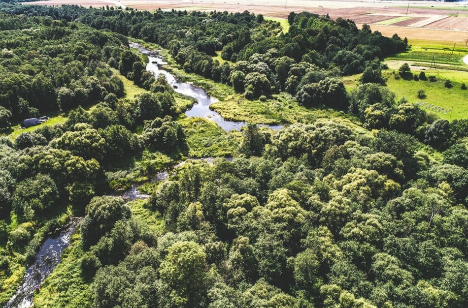 Jonavoje steigiamas naujas draustinis