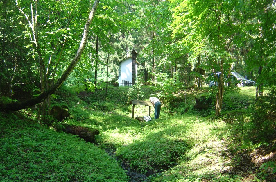Per vasarą Lietuvos geologijos tarnyba ištyrė 200 požeminio vandens mėginių
