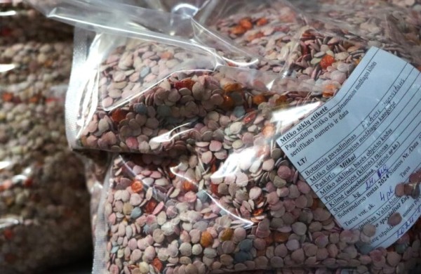 Nuo sėklos iki girios: miškininkų darbas, užtikrinantis miškų ateitį