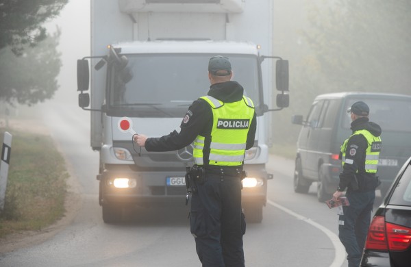 „Švilpukas saugo“: mažinkime susidūrimų su laukiniais gyvūnais skaičių