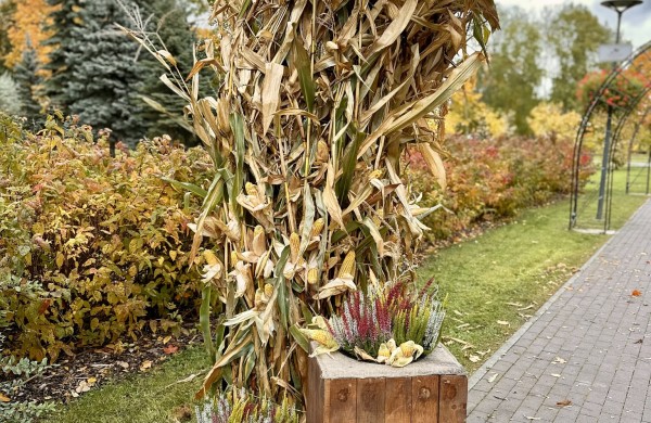 Rudens pasaka Jonavos širdyje! 