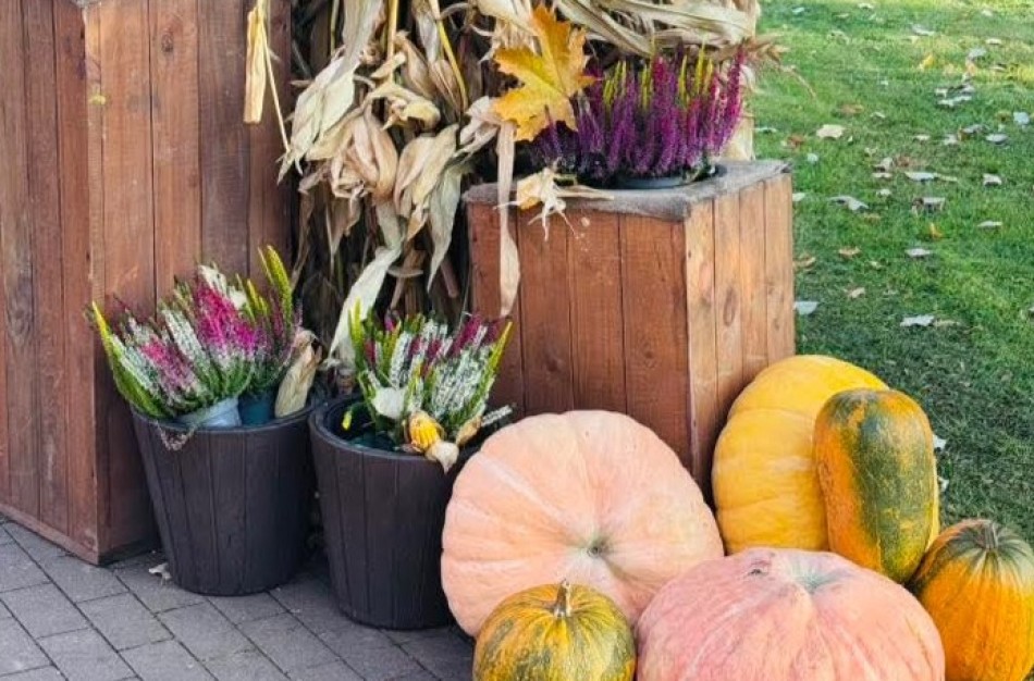 Po niokojimo – šviesos ir grožio iniciatyva Ramybės skvere