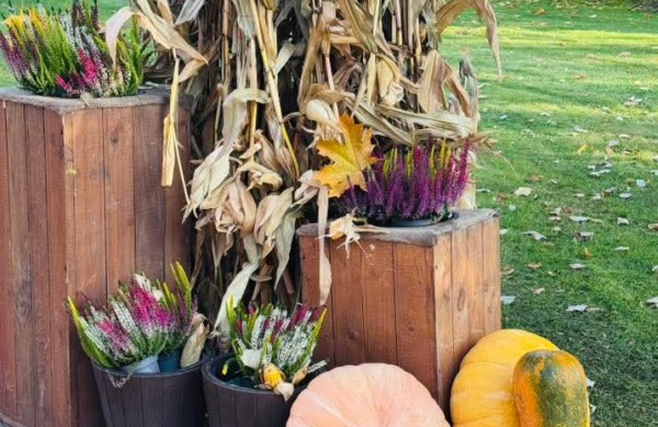 Po niokojimo – šviesos ir grožio iniciatyva Ramybės skvere