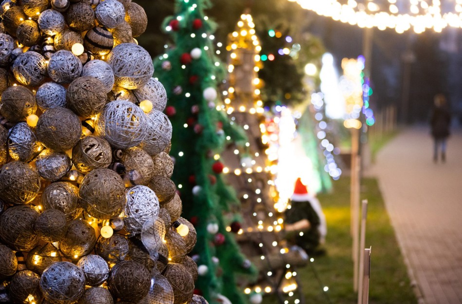 Gyvybės pilnas Kalėdų miškas Jonavoje – kviečiame kartu kurti eglučių miestelį!