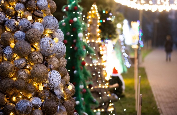 Gyvybės pilnas Kalėdų miškas Jonavoje – kviečiame kartu kurti eglučių miestelį!