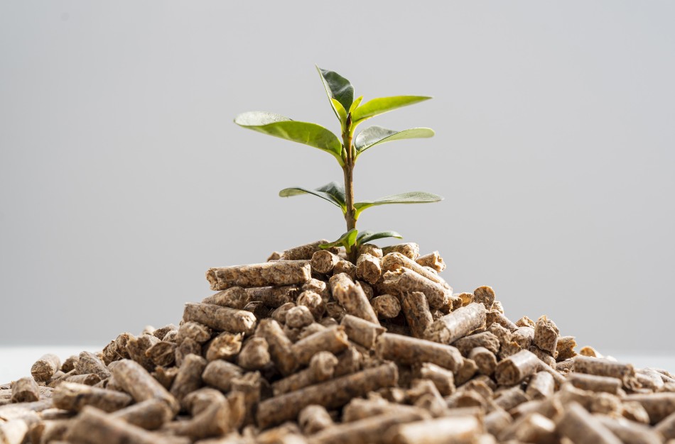 VERT: Biokuro kainos šį šildymo sezoną prognozuojamos mažesnės