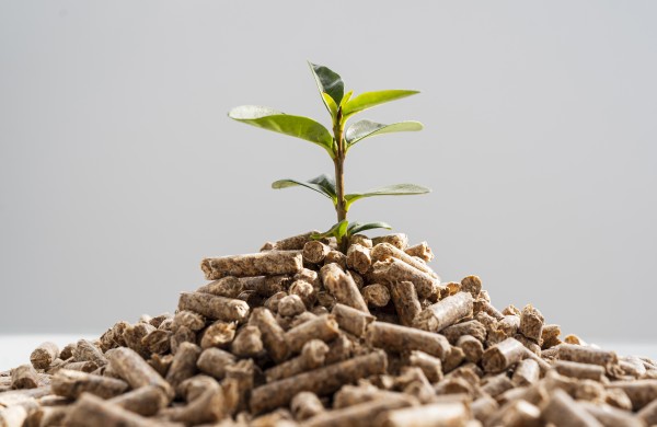 VERT: Biokuro kainos šį šildymo sezoną prognozuojamos mažesnės