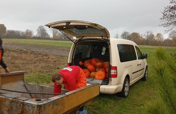 Tikrieji Helovino siaubai – tonos iššvaistytų moliūgų: kiek jų išmetame?