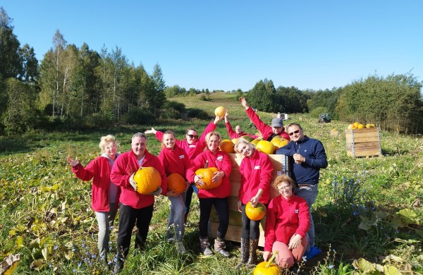 Tikrieji Helovino siaubai – tonos iššvaistytų moliūgų: kiek jų išmetame?