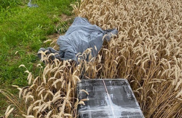 Kontrabandininkai šiemet neteko 546 balionų ir 50 dronų su kroviniais, nuteista 18 asmenų