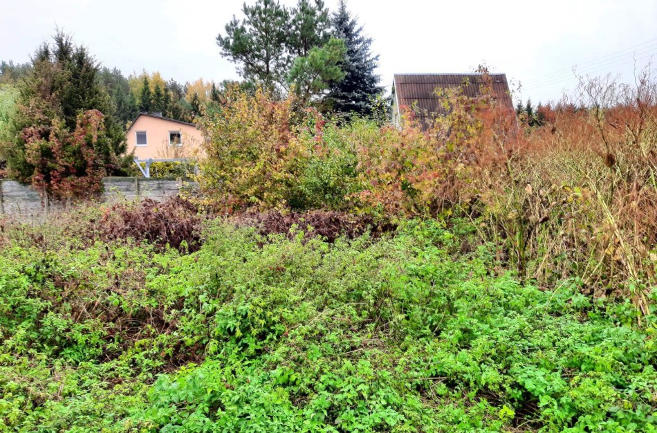 Jonavos rajone, Šveicarijoje - sodo pastato pamatai su žemės sklypu už 5 475 eurus