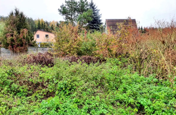 Jonavos rajone, Šveicarijoje - sodo pastato pamatai su žemės sklypu už 5 475 eurus