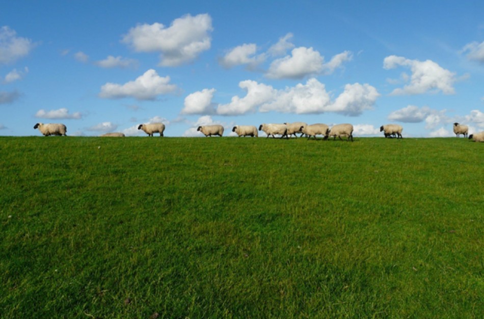 Žemės ūkis pripažintas nacionaliniam saugumui svarbia sritimi