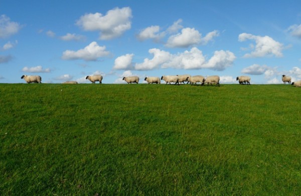 Žemės ūkis pripažintas nacionaliniam saugumui svarbia sritimi