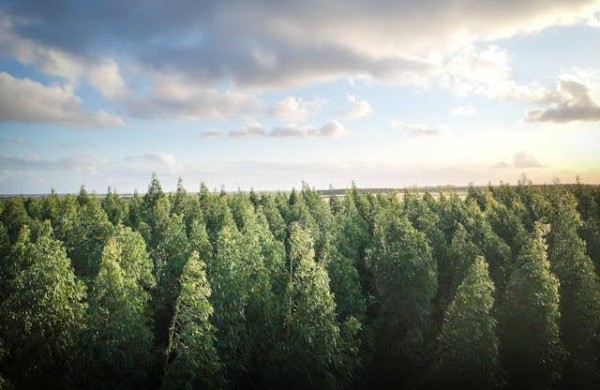 Pabėgimas nuo kasdienybės: atgaiva kūnui ir sielai