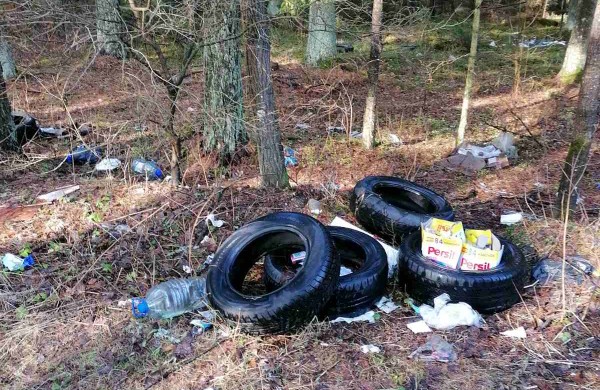 Šokiruojantis miškininkų radinys: prasidėjus padangų keitimo sezonui – 5 tonos išmestų padangų