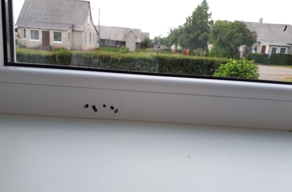 Langų patikra Jonavoje siūloma nemokamai – paslauga ar galimas sukčiavimas?