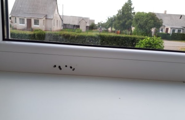 Langų patikra Jonavoje siūloma nemokamai – paslauga ar galimas sukčiavimas?