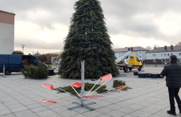 Jonavos šventinė eglutė jau kyla: miestas ruošiasi didžiajam įžiebimui