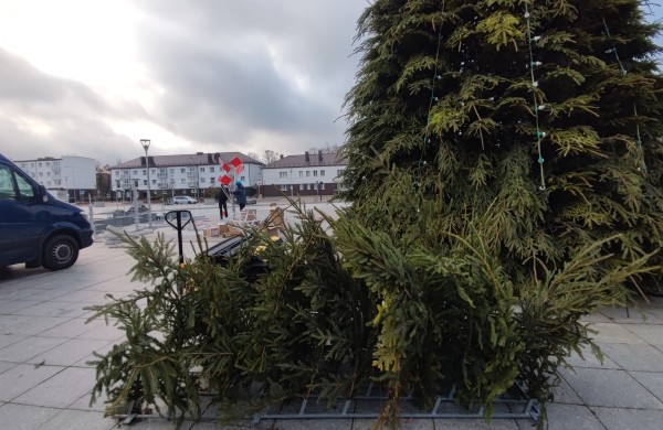 Jonavos šventinė eglutė jau kyla: miestas ruošiasi didžiajam įžiebimui