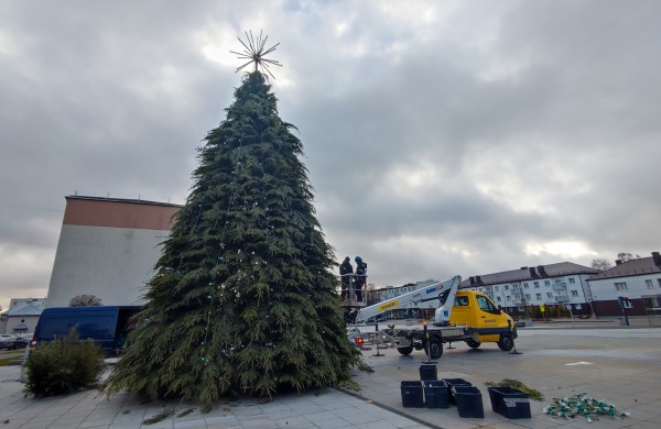 Jonavos šventinė eglutė jau kyla: miestas ruošiasi didžiajam įžiebimui