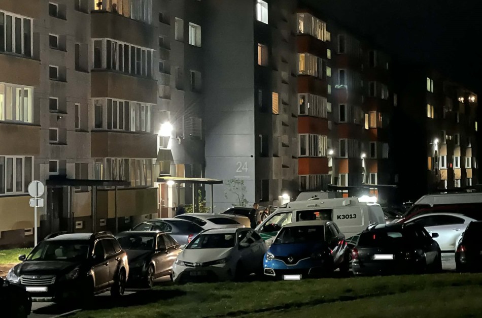 Tarnybų sujudimas Kosmonautų gatvėje