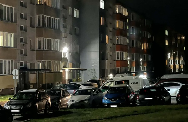 Tarnybų sujudimas Kosmonautų gatvėje