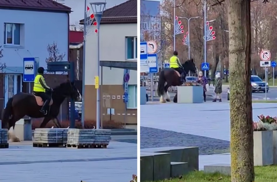 Nekasdienis vaizdelis Jonavoje: žirgo žingsniai miesto centre pavergė praeivius