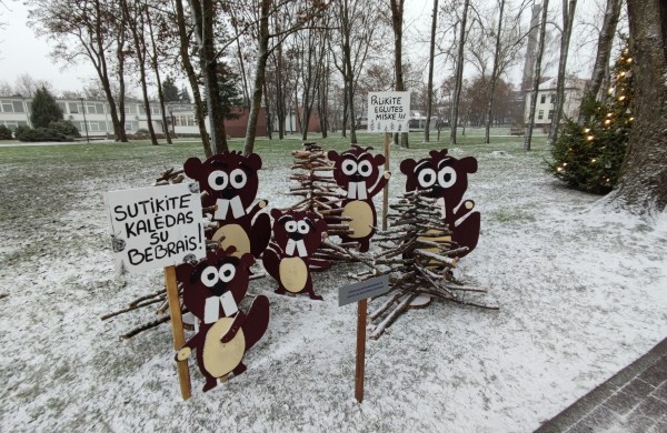 Ar atspėsite, kiek Kalėdų eglučių šiemet įžiebsime Jonavos rajone?