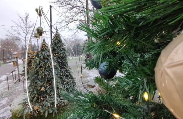 Ar atspėsite, kiek Kalėdų eglučių šiemet įžiebsime Jonavos rajone?