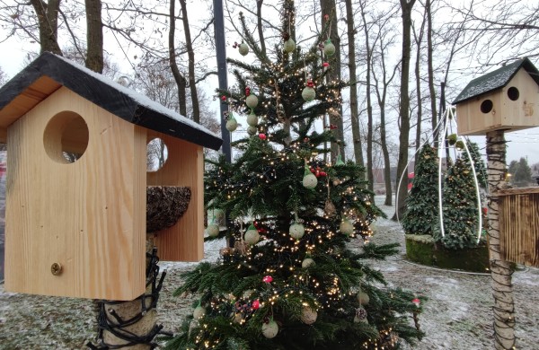 Ar atspėsite, kiek Kalėdų eglučių šiemet įžiebsime Jonavos rajone?