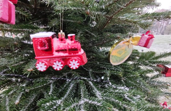 Ar atspėsite, kiek Kalėdų eglučių šiemet įžiebsime Jonavos rajone?