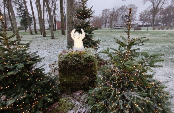 Ar atspėsite, kiek Kalėdų eglučių šiemet įžiebsime Jonavos rajone?