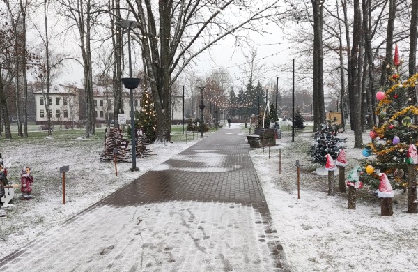 Ar atspėsite, kiek Kalėdų eglučių šiemet įžiebsime Jonavos rajone?