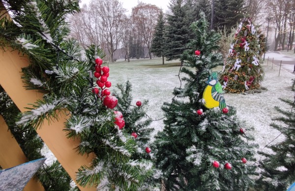 Ar atspėsite, kiek Kalėdų eglučių šiemet įžiebsime Jonavos rajone?
