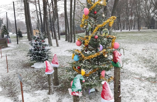 Ar atspėsite, kiek Kalėdų eglučių šiemet įžiebsime Jonavos rajone?