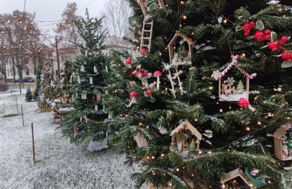 Ar atspėsite, kiek Kalėdų eglučių šiemet įžiebsime Jonavos rajone?