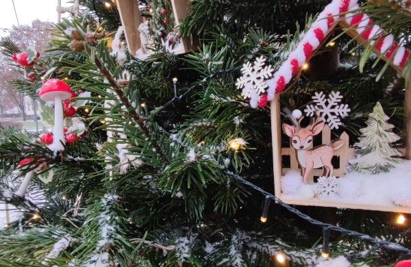 Ar atspėsite, kiek Kalėdų eglučių šiemet įžiebsime Jonavos rajone?