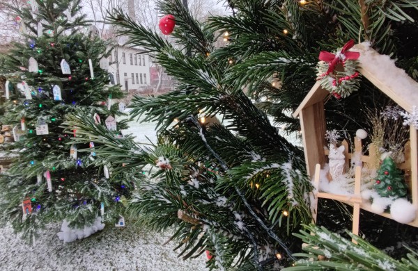 Ar atspėsite, kiek Kalėdų eglučių šiemet įžiebsime Jonavos rajone?