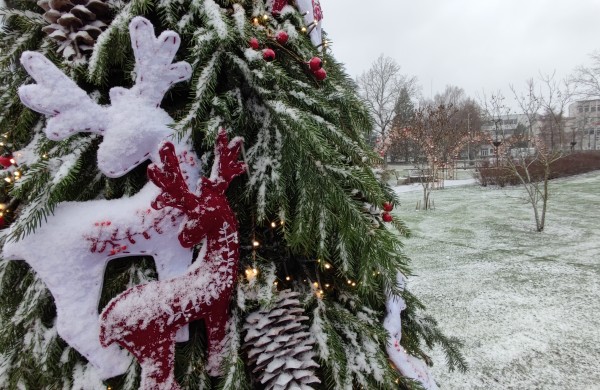 Ar atspėsite, kiek Kalėdų eglučių šiemet įžiebsime Jonavos rajone?