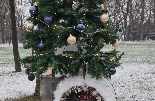 Ar atspėsite, kiek Kalėdų eglučių šiemet įžiebsime Jonavos rajone?