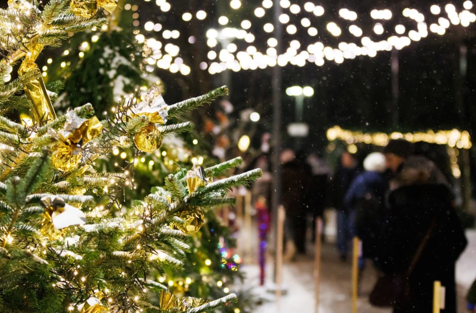 Jonavoje sužibs jaukus „Kalėdų miškas“