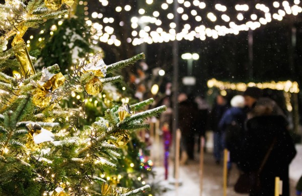 Jonavoje sužibs jaukus „Kalėdų miškas“