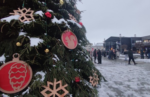 Jonava suspindo: įžiebta miesto eglė ir „Gyvybės pilnas Kalėdų miškas“
