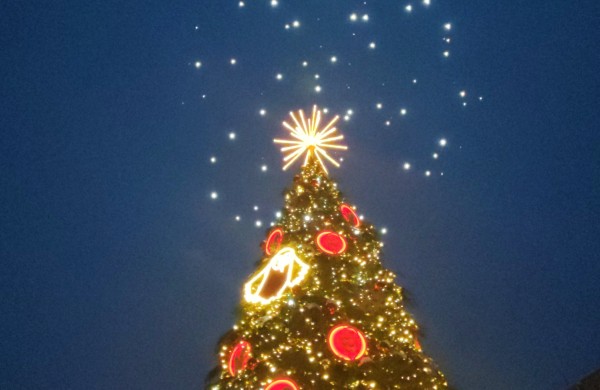 Jonava suspindo: įžiebta miesto eglė ir „Gyvybės pilnas Kalėdų miškas“