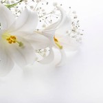 Padėka į amžinybę išlydint velionį