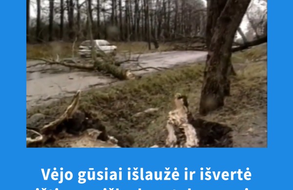 Prieš 26 metus Lietuvą siaubė „uraganas“ Anatolijus