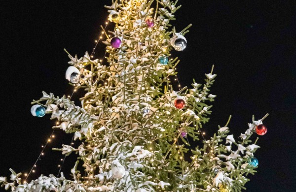 Pasigerėkime Jonavos seniūnijose įžiebtomis Kalėdų eglėmis