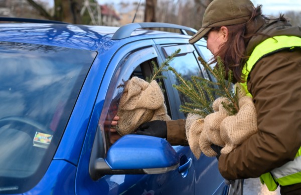 Akcija „Eglutė“ – miškininkai ir policijos pareigūnai vairuotojams dovanos kalėdinius medelius